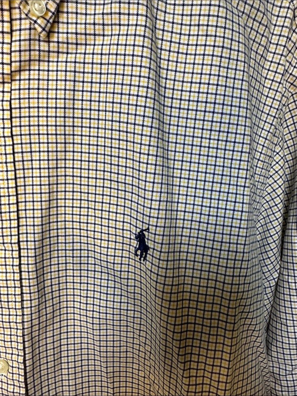 Polo by Ralph Lauren Blue and White Check Button-Down Shirt